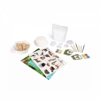 Jucărie interactivă, Grafix, Nature Explorer, set cu amprente de animale, 40 de cărți de joc, multicolor R03-0571